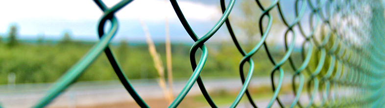 Crapal®Color